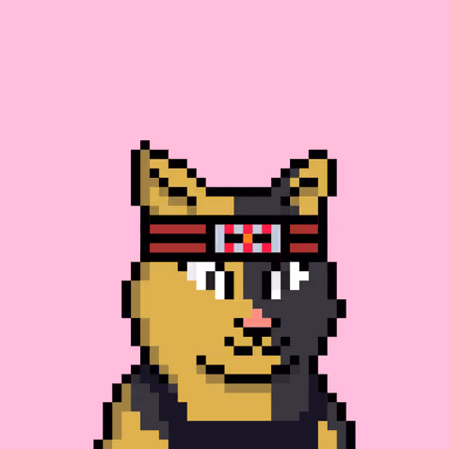 Cat #1489
