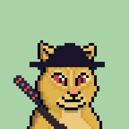 Cat #105