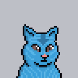 Cat #4581