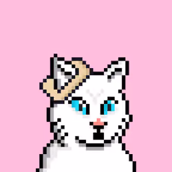 Cat #4492