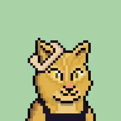 Cat #694