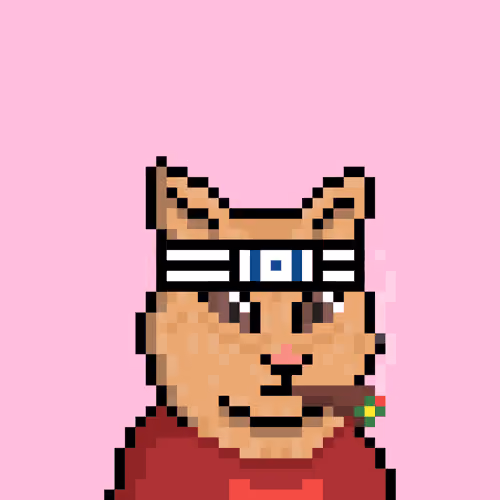 Cat #2022