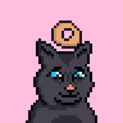 Cat #713
