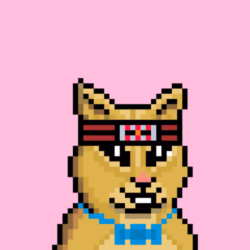 Cat #153