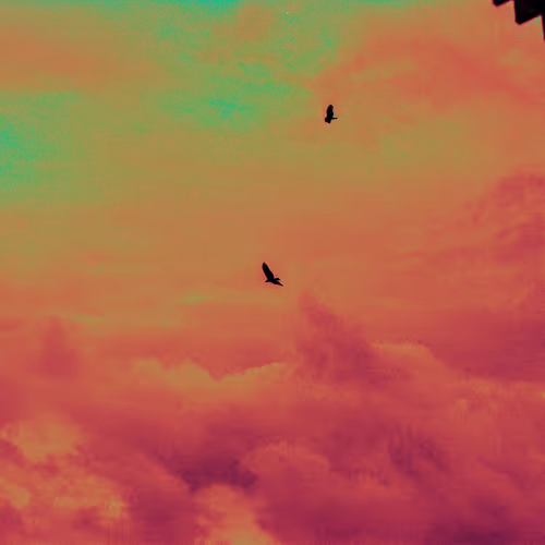 Mochima: Tales of The Ghost Donkey