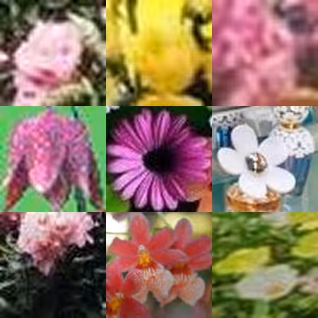 Https Internet Flowers By Mika Ben Amar