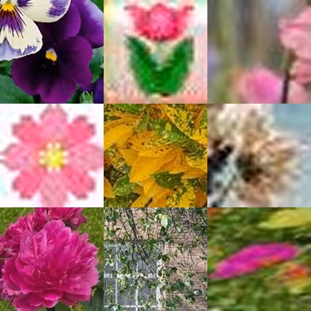 Https Internet Flowers By Mika Ben Amar