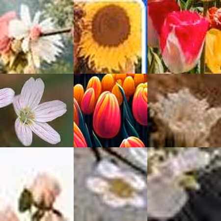 Https Internet Flowers By Mika Ben Amar