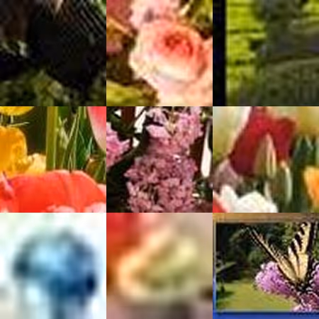 Https Internet Flowers By Mika Ben Amar