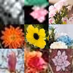 https://internet.flowers/bouquet067.jpg