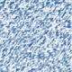 410