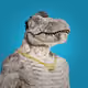 519
