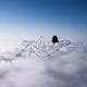 592