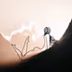72
