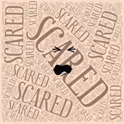 FaceYourFeeling #2477
