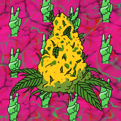 Cash Crop #80