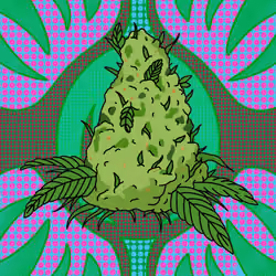 Cash Crop #95