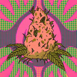 Cash Crop #81