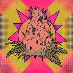 Cash Crop #23