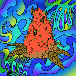 Cash Crop #36