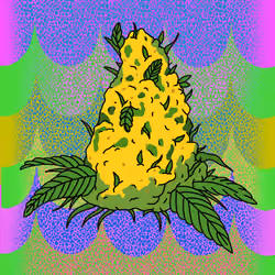 Cash Crop #39