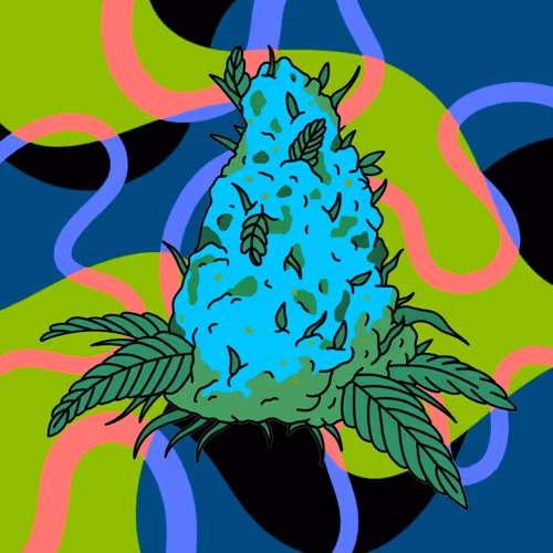Cash Crop #79