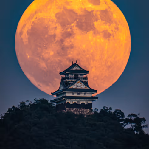 Iconic Japan #12 "Moon Over the Castle"
