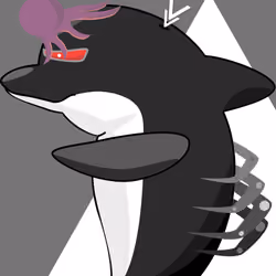 Flabby Dolphin #25