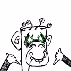 245