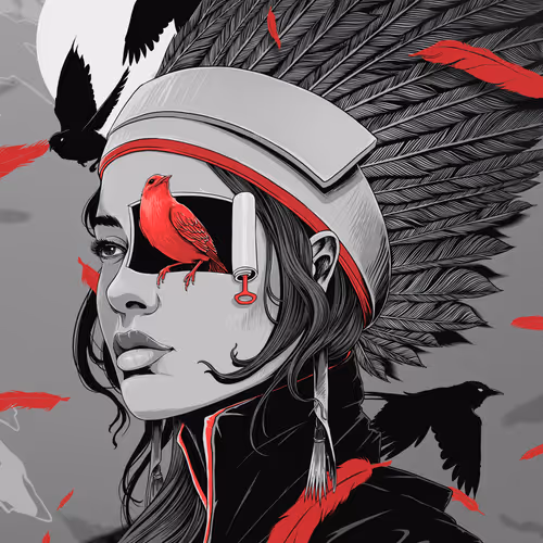 Bird Vision