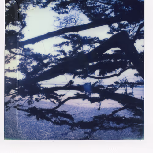 Eerie Polaroids