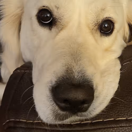 Unidentified contract - sDbYRaSpy9