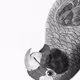 81