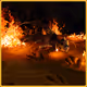"Fire" Gold Edition #3 (The "100 Legends" Tribute to Charizard)