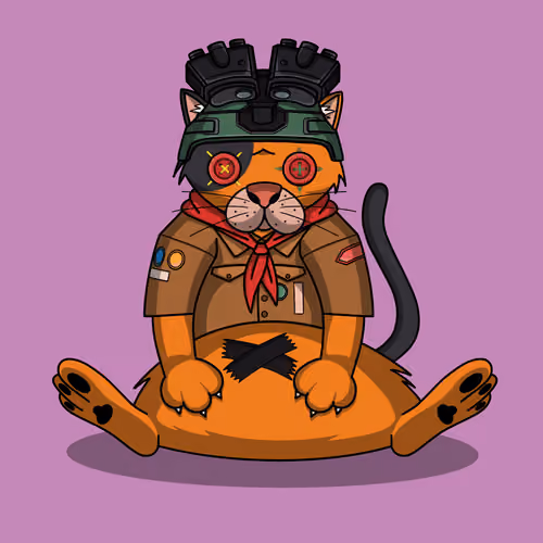 Cat #13