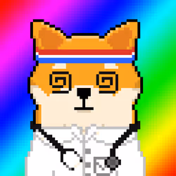 dogtorSHIBNOTIZE