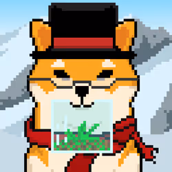 8629