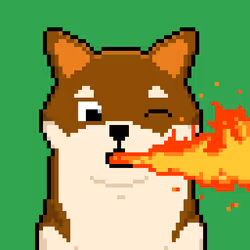 Shiba on Fire
