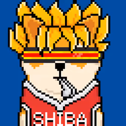 Shibcoach