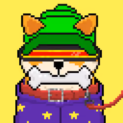 Satoshi Nakamoto SHIBOSHI
