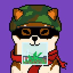 Fox Force