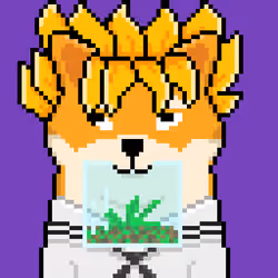 SHIBA LEGEND