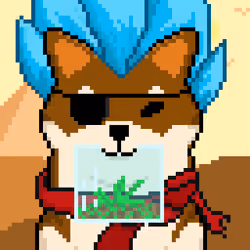 SON GOKU