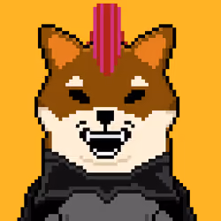 THE BAT HAWK SHIB