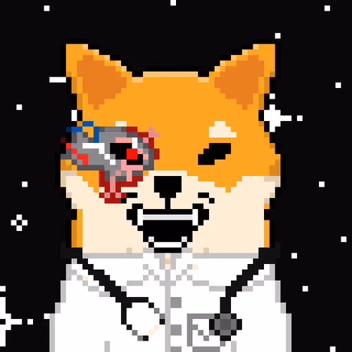 DOCTOR SHIBARIUM