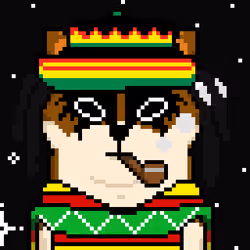 Half Baked Shiba