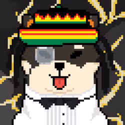 Top Shib