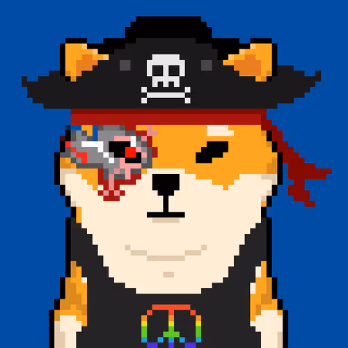 Pirate Shibo