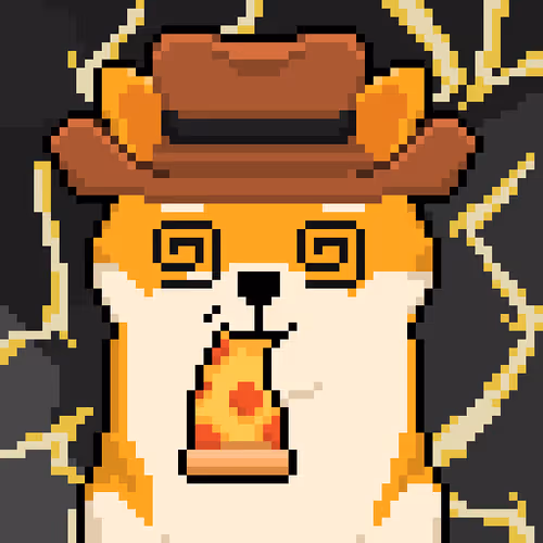 FLASH COWBOSHI