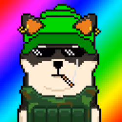 Dr Shib